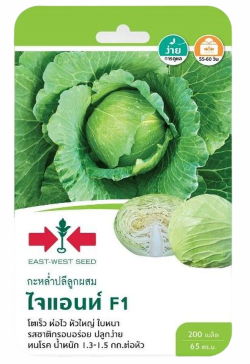 กะหล่ำปลีไจแอนท์F1ศรแดงGG*600